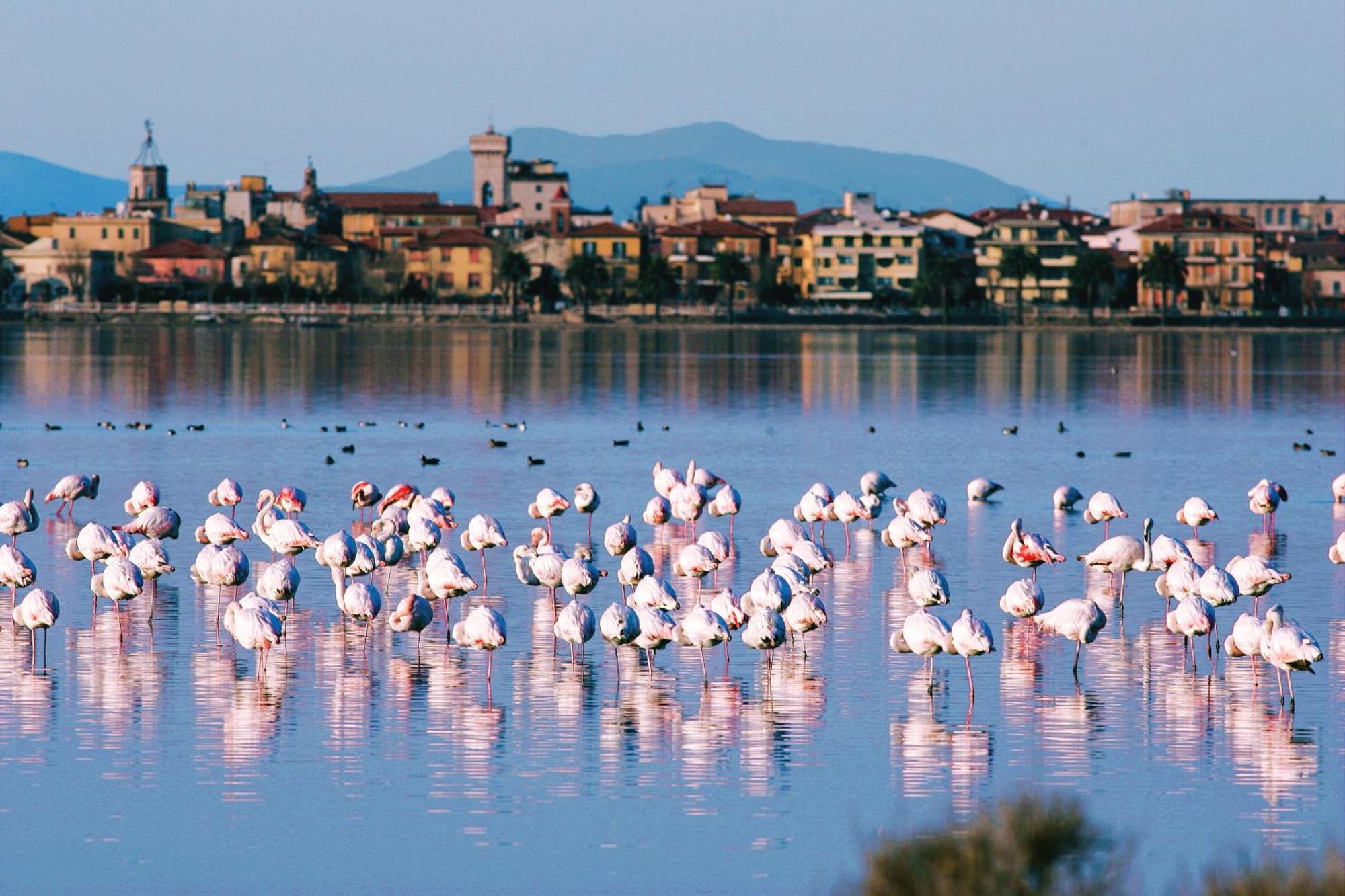 Park Hotel Residence Orbetello Dış mekan fotoğraf